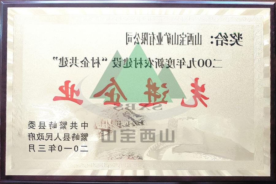 2009年度 先进企业